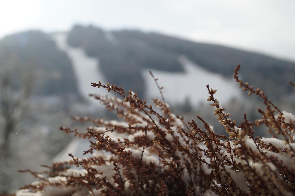 Belvedere Semmering Ngoại thất bức ảnh
